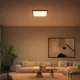 Philips Hue White Ambiance Aurelle 60x60cm schwarz