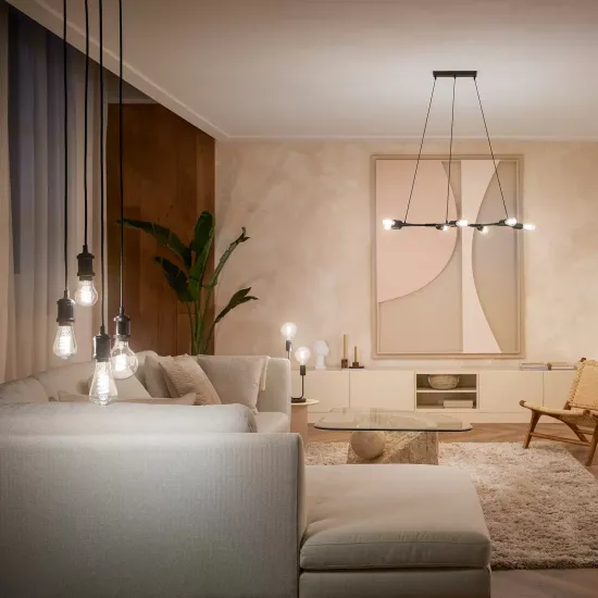 Philips Hue White Ambiance Edison Filament E27 7W