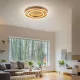 Helestra Sona LED ceiling light, dimmable, Ø60 cm, gold