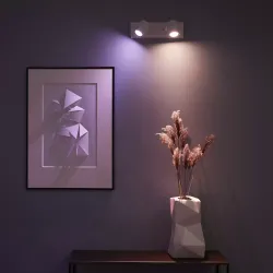Philips Hue LED ceiling spotlight Argenta, white, 2-light, RGB, CCT